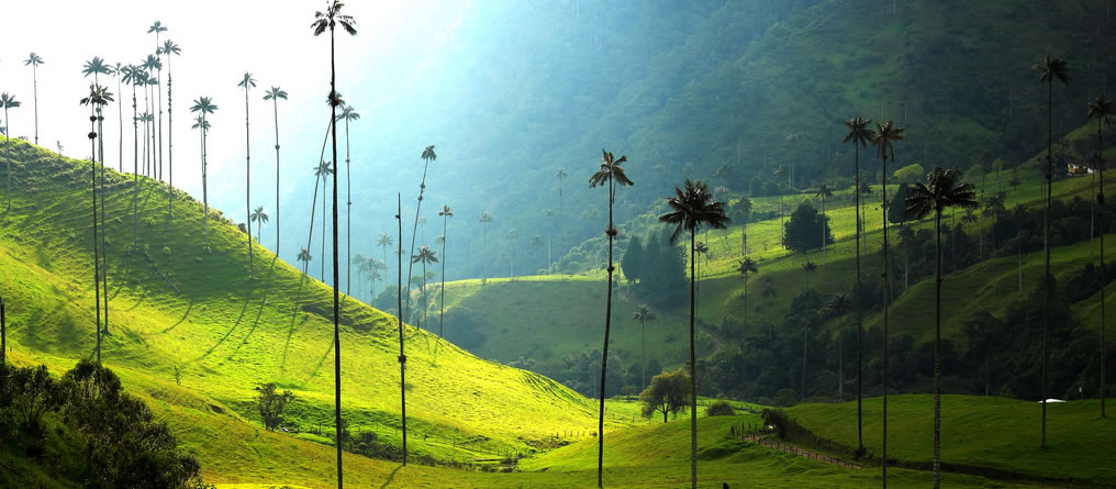 Paisaje Cultural Cafetero