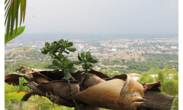 ALOJAMIENTO EN EL “MIRADOR TURISTICO VALLECAUCANO” - Image 19